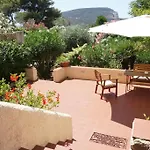 Bougainvillea 阿尔盖罗