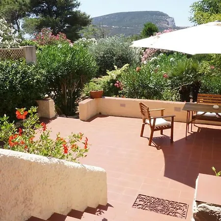 Bougainvillea Alghero