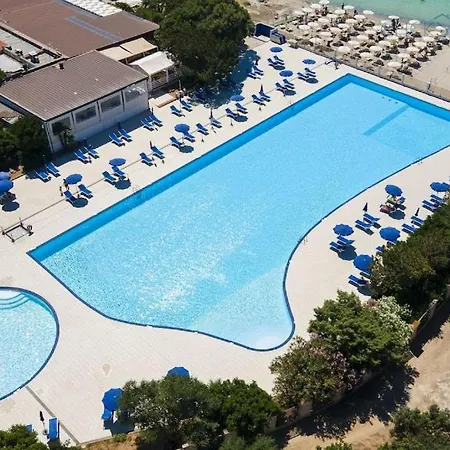 Bougainvillea - Mima Management *