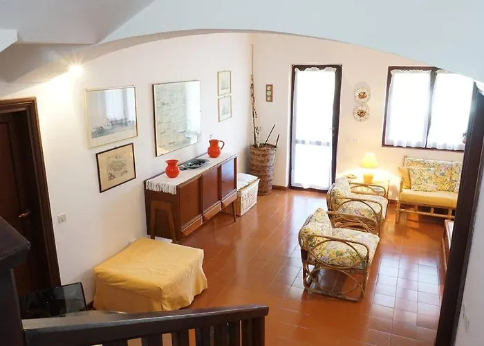 Bougainvillea - Mima Management *