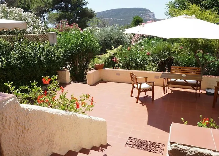 Bougainvillea - Mimá Management Alguer