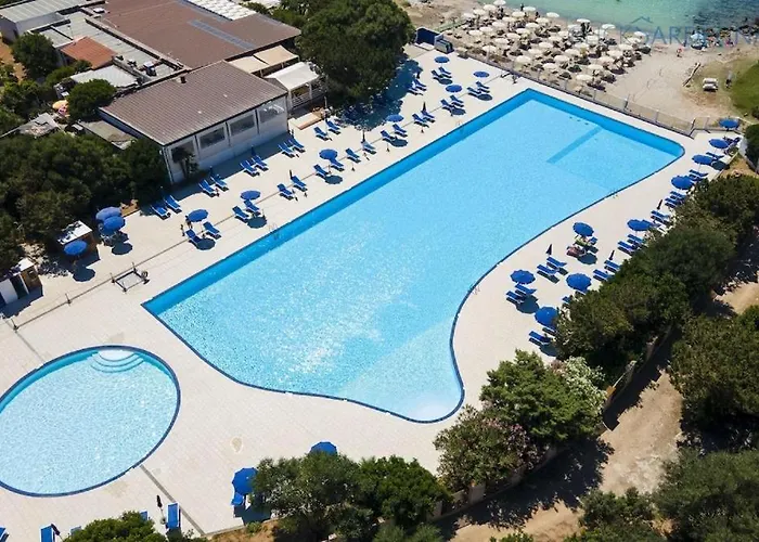 Bougainvillea - Mima Management *