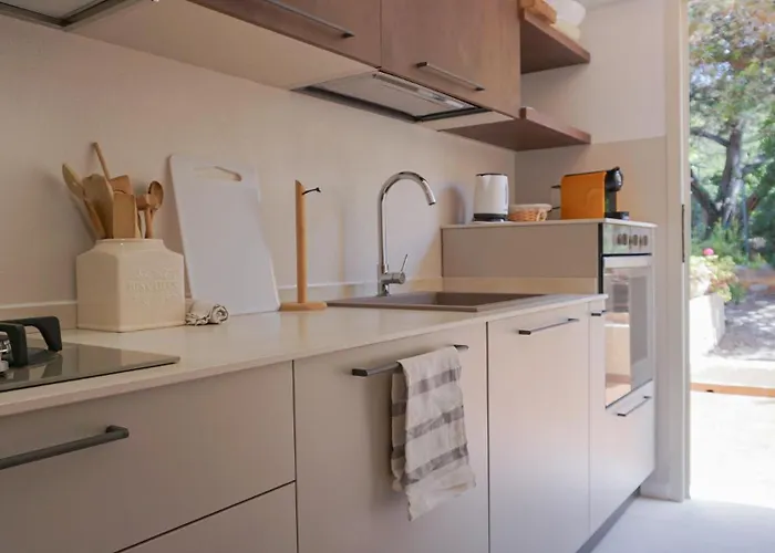 Bougainvillea - Mima Management